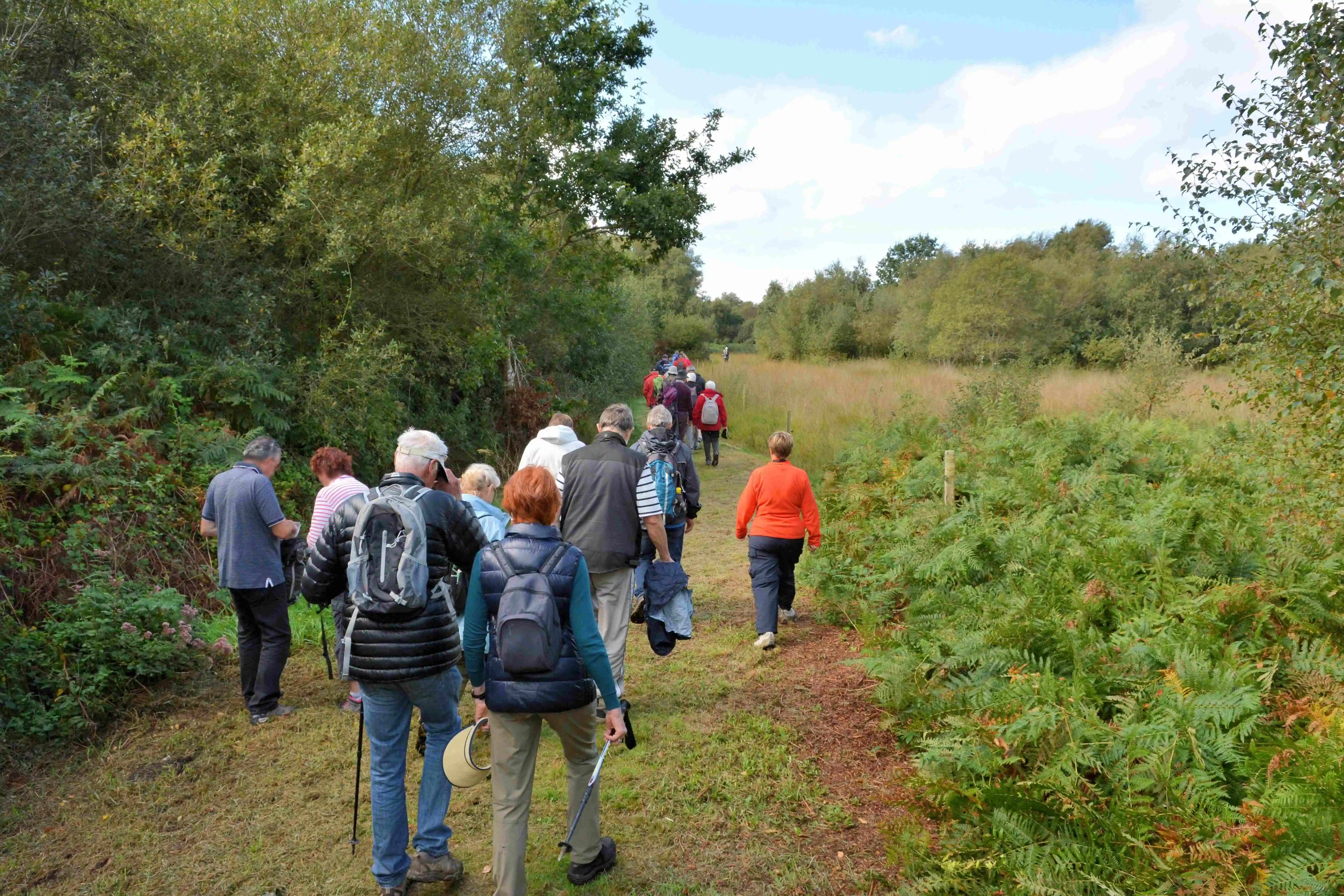 A group of people hiking