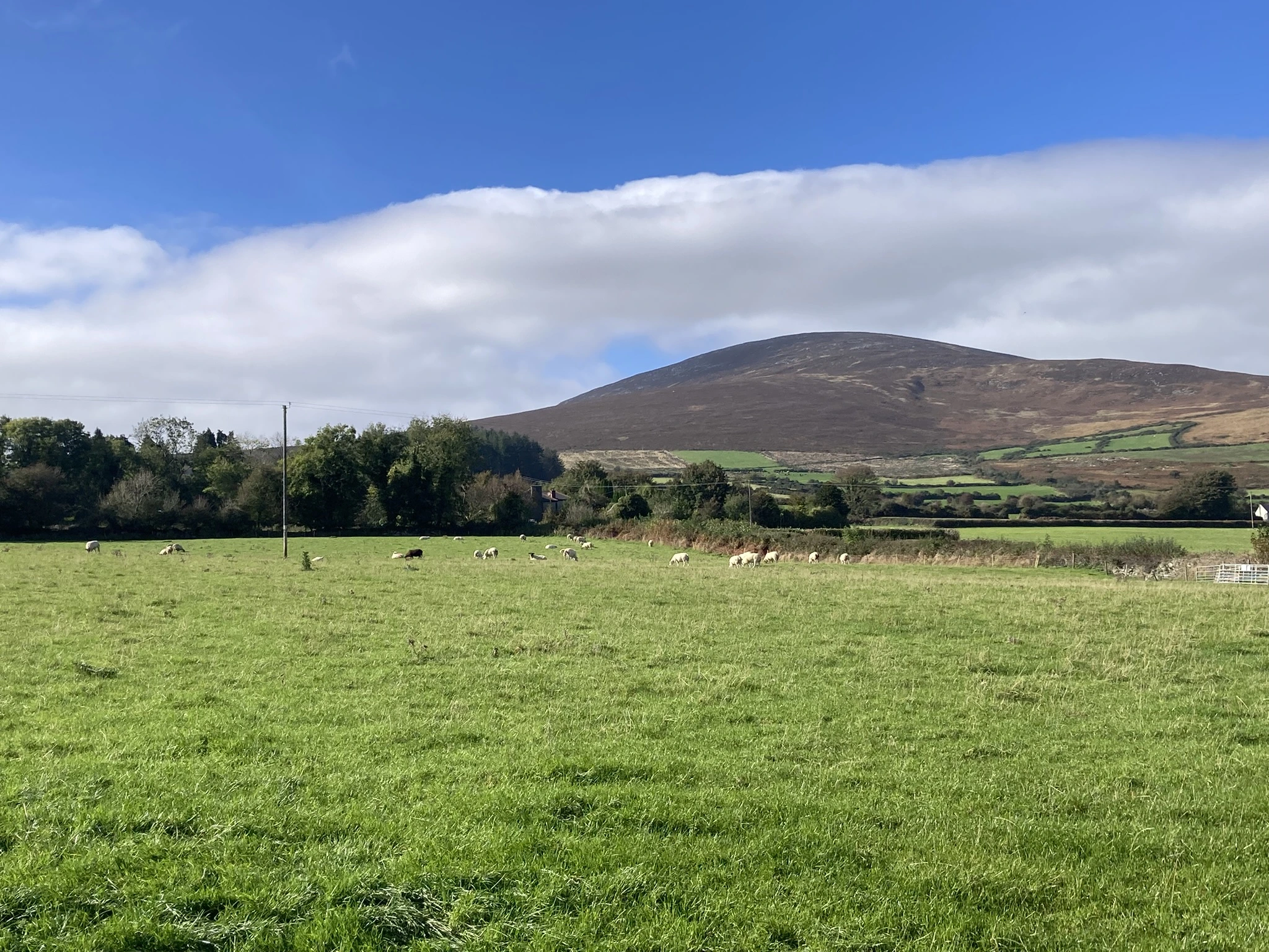 Blackstairs Mountain, Rathnure